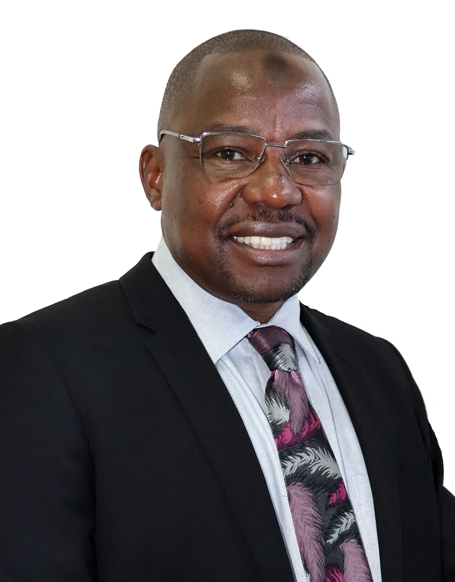 Prof. Halimu Shauri, PhD